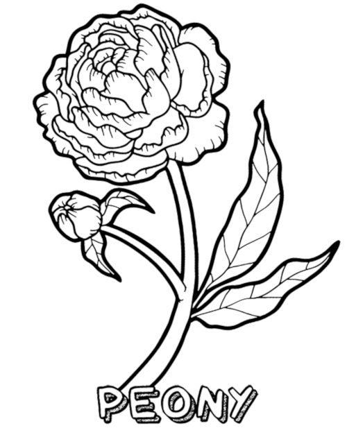 Printable coloring pages