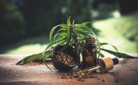 CBD oil and its beneficial effects on the body
