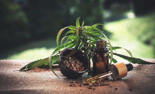 Jak przechowywać nasiona marihuany