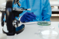 Welche Bedeutung haben Ösen und Spateln in mikrobiologischen Tests?